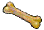 RightBone.gif
