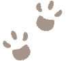 paws.gif
